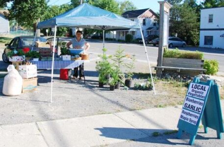 Look Ma! I'm a Market Gardener! Image